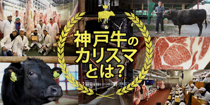 神戸牛の豆知識 そもそも神戸牛ってなに?他の牛となにが違うの?神戸牛と言われても「なんだか良いお肉なんだろうなぁ」と漠然と思ってしまいます。このページではそんな皆さんの疑問を解消していきたいと思います。